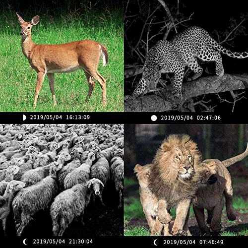 OVBBESS Jagd Kamera 12MP PIR Nacht Sicht wasserdichte Trail Spiel Kamera für Haus Garten Tierwelt Jagd Scouting Spiel – Bild 7