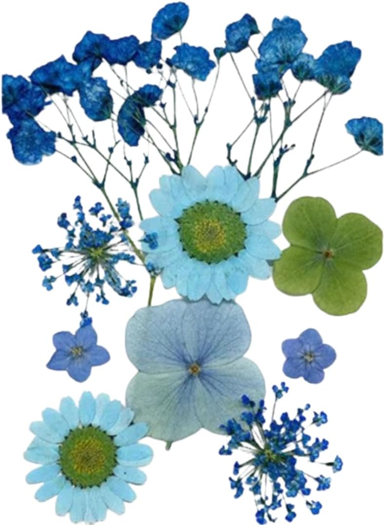 Natural Pressed Flowers Sheet for Mithila Resin Art & DIY Crafts | Real Dried Floral Sheet for Jewelry, Frames & Epoxy Décor (10In1 Blue Pressed Flowers)