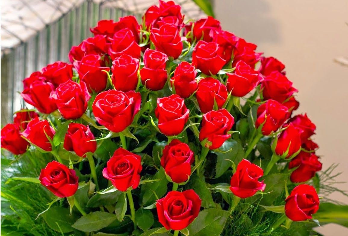 Fresh Red Roses Bouquet, Large Arrangement with Green Foliage | Vibrant Red Blooms, Lush Green Stems, Romantic Occasion, Full Dome Shape, Fresh Cut Flowers-image-16