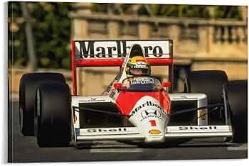 61bPDVMcoSL._AC_UF350,