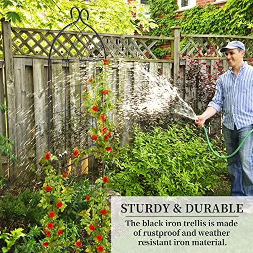 Scendor 1 Pack Garden Trellis 71" H X 19.7" W For Climbing Plants Support Rustproof Metal Iron Rose Trellis For Vines Flower Cucumbers Plant Stand Black #TOP6