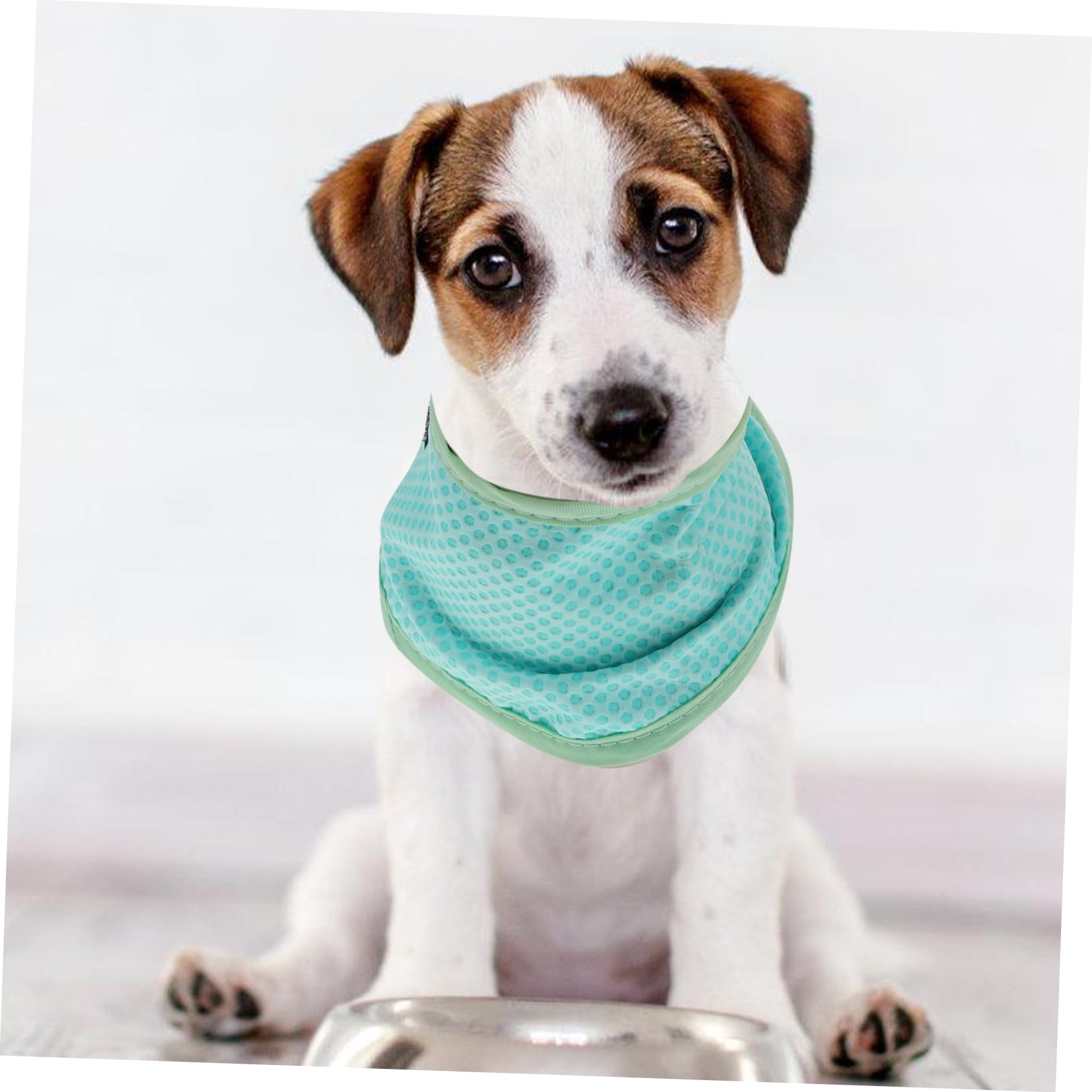 Kisangel 5stücke Kühlendes Hundehalsband Für Sommer Verstellbares Atmungsaktives Bandana Für Hunde Leichtes Chemiefreies Kühlaccessoire Für Und Outdoor-aktivitäten