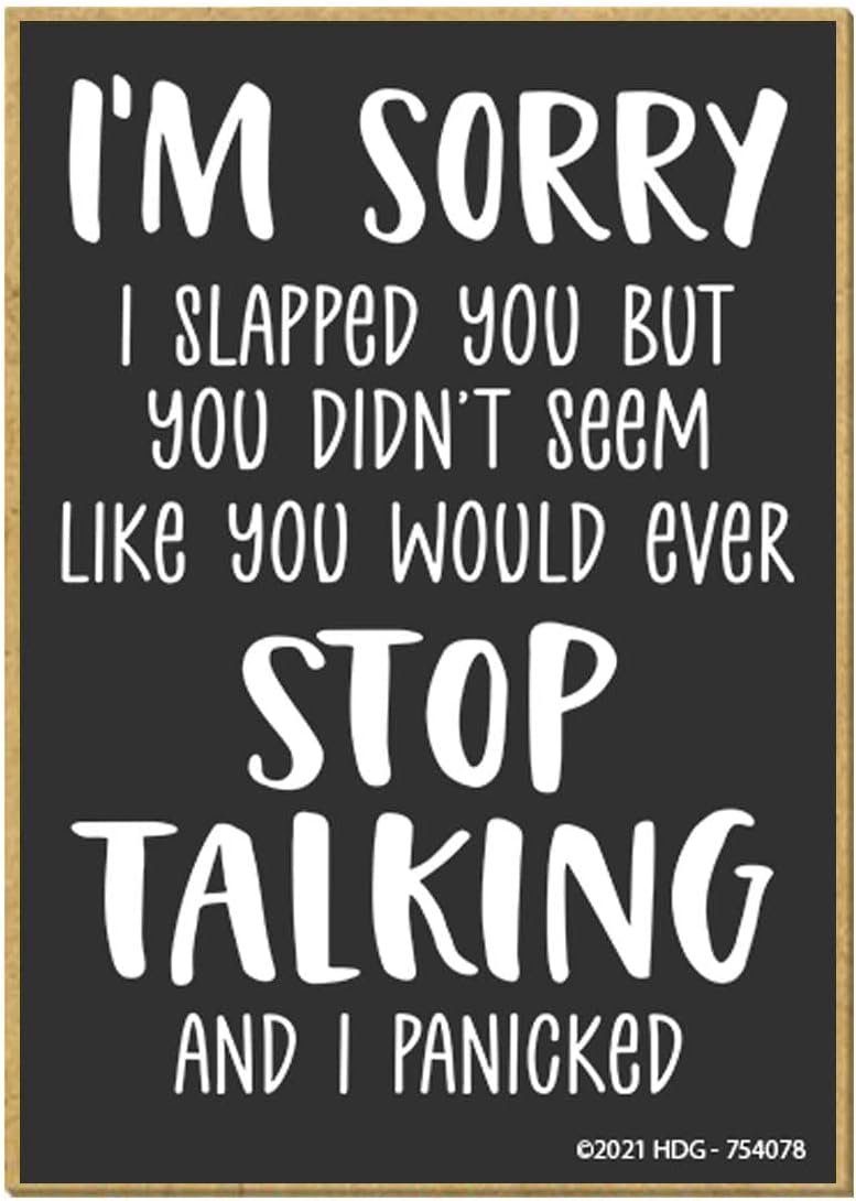 Honey Dew Gifts, I'm Sorry I Slapped You but You Didn't Seem like You Would Ever Stop Talking, 2.5 inch by 3.5 Inch, Made in USA, Locker Decorations, Refrigerator Magnets, Fridge Magnets, Funny Magnet