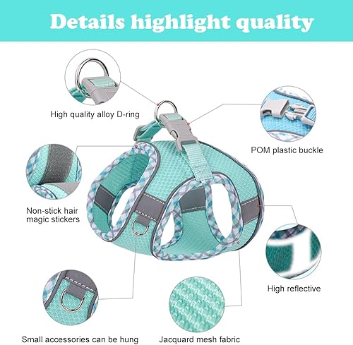 Dog Harness and Leash Set, No Pull Adjustable Reflective Pet Harness, Mesh Dog Harness, Step in Vest Harness Easy Walk Puppy Harness Outdoor Hiking Training for Small Medium Dogs, Cats(Blue, M)