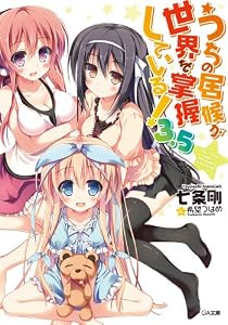 うちの居候が世界を掌握している！３．５ (GA文庫)