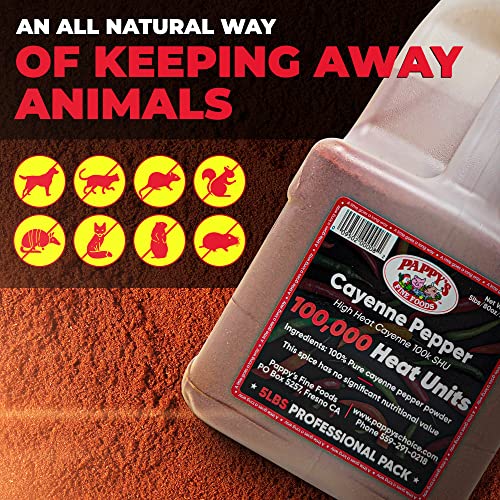 Cayenne Pepper Powder Bulk – 100,000 Heat Units - 5Lb Jar. #TOP2