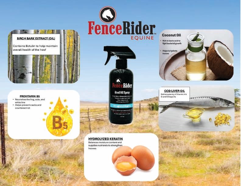 FenceRiderEquine Fence Rider Hoof Oil Spray, Premium Blend of Natural Oils and Nutrients to Balance Hoof Moisture, While Working to Correct Cracks and Counteract Rot. 16 oz Ready to Use (16 oz) - image 5