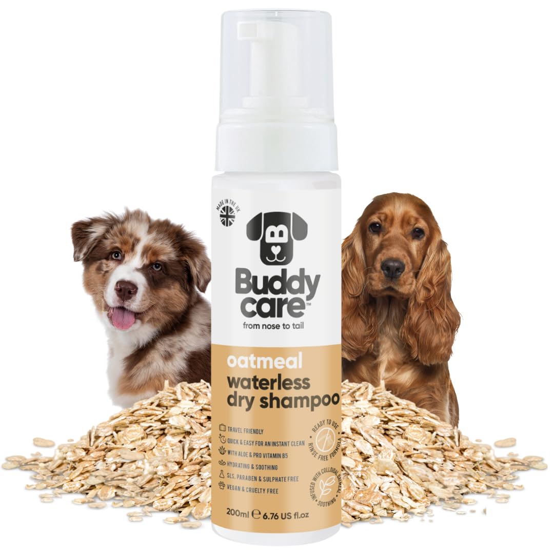 Buddycare Bezwodny, suchy szampon dla psów (200 ml) | Oatmeal szampon dla psów bez spłukiwania do skóry wrażliwej | naturalny, łatwy w użyciu suchy szampon dla świeżego, czystego sierści