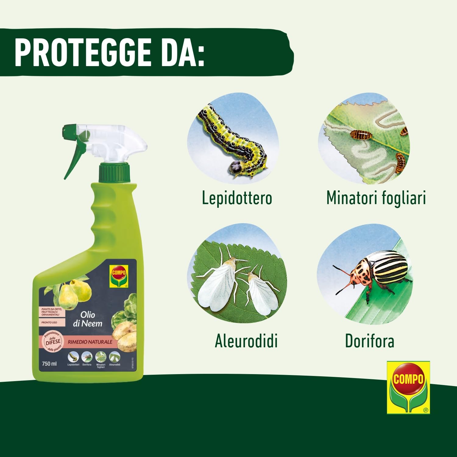 COMPO Olio di Neem 100% Naturale, Potenziatore Difese Piante contro Insetti, 750 ml