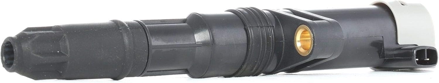 Delphi CE20014-12B1 Ignition Coil