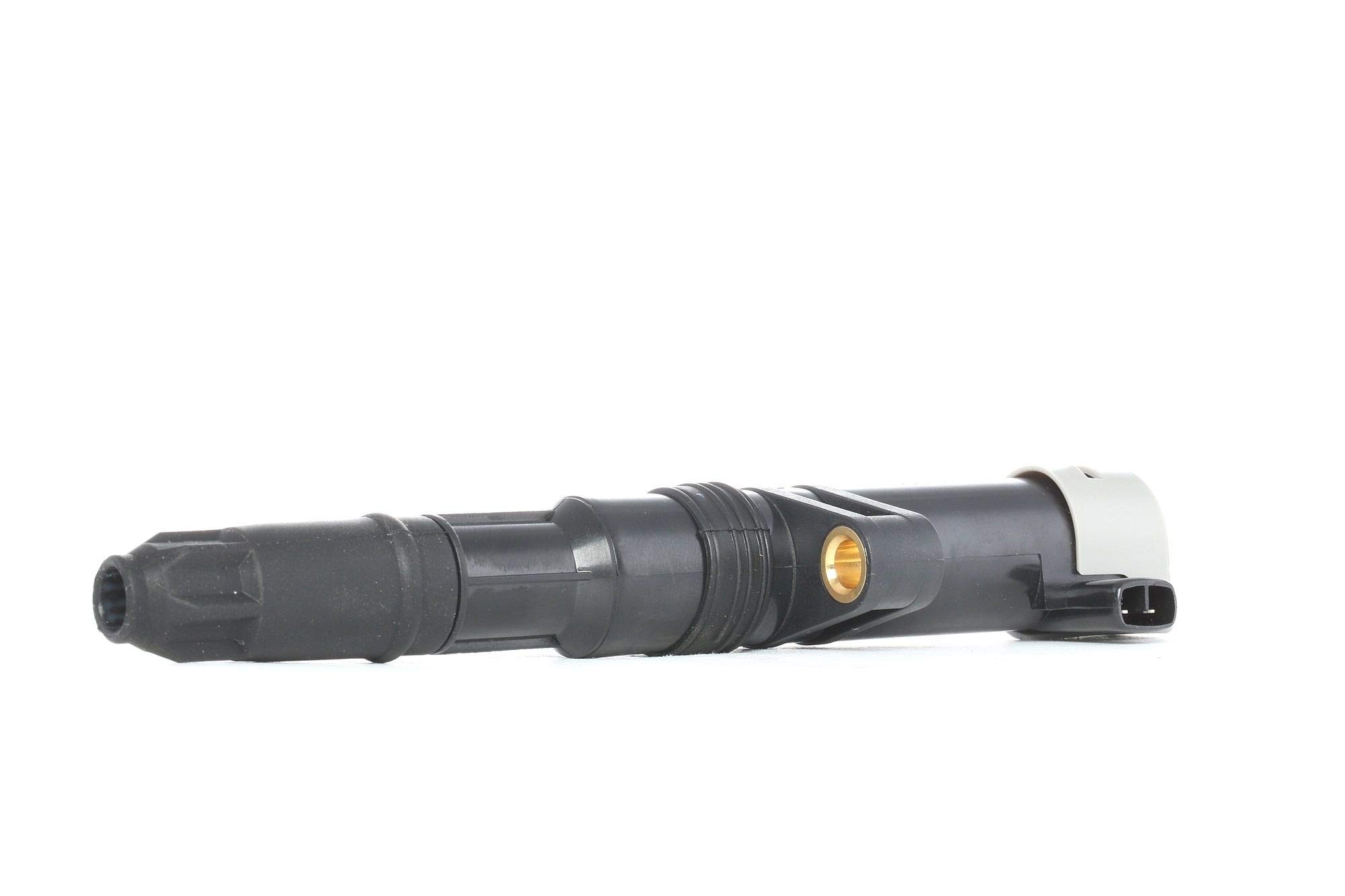 Delphi CE20014-12B1 Ignition Coil