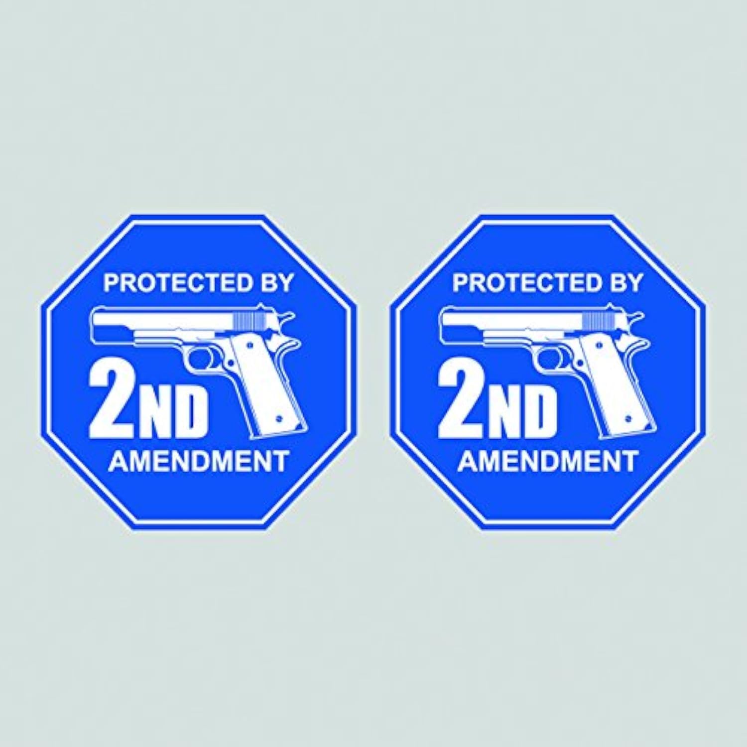 fagraphix Two Pack Protected by 2nd Amendment Sticker Decal Gun Rights 2a Molon Labe FA Vinyl