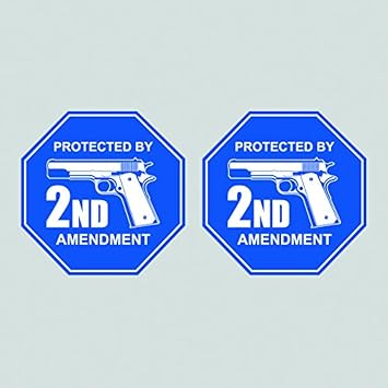 fagraphix Two Pack Protected by 2nd Amendment Sticker Decal Gun Rights 2a Molon Labe FA Vinyl