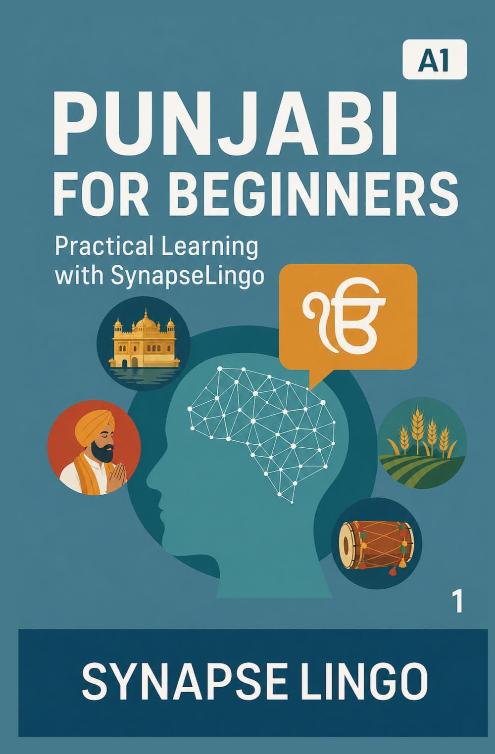 Punjabi for Beginners: Practical Learning with SynapseLingo (Learn Punjabi)