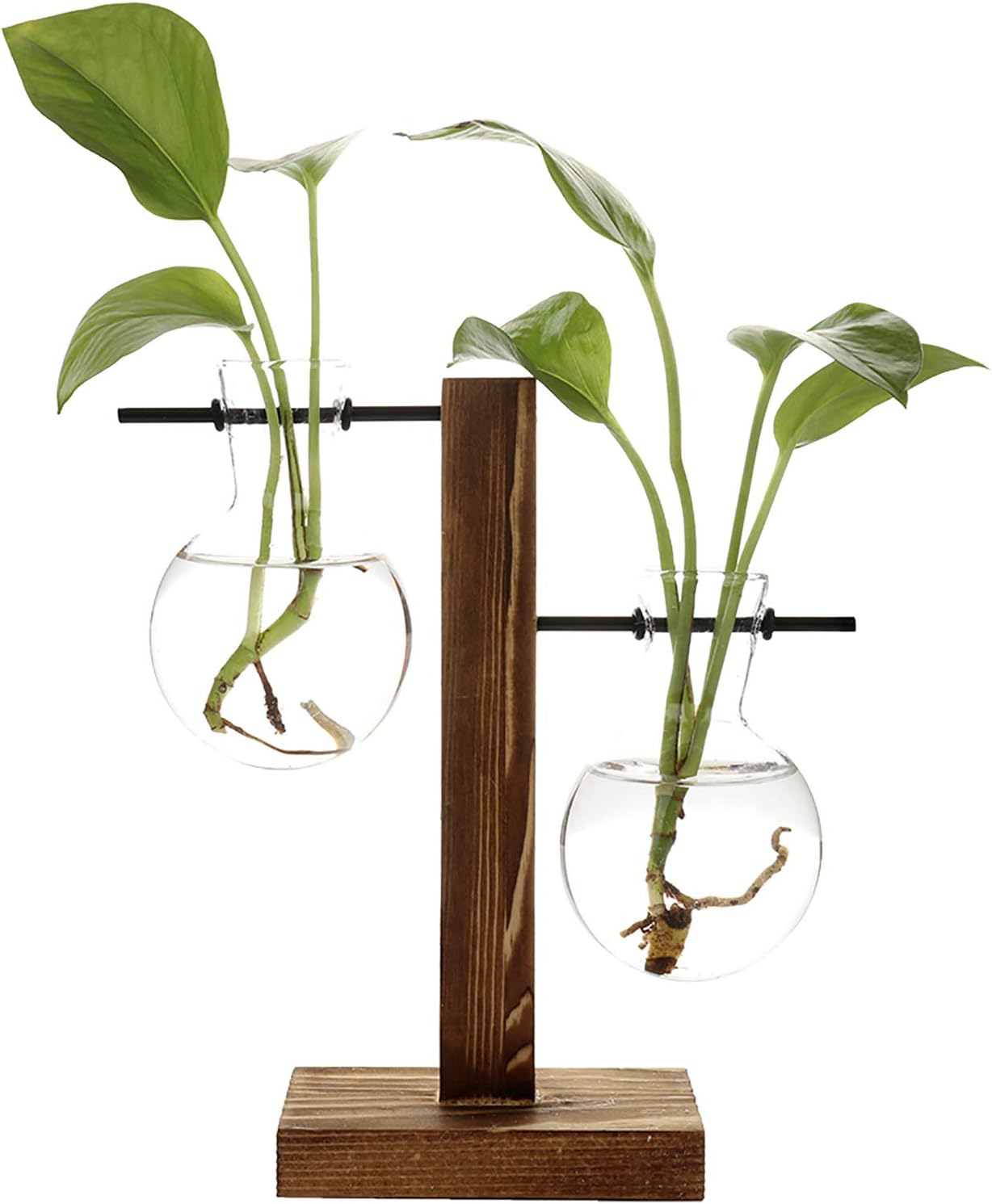 Stand Glass Planter Bulb Vase,ADSRO Glass Flowerpot with Vintage Wood Frame Holder for Hydroponic Plant Family Garden Wedding Decoration - (2 Bulb Vase)