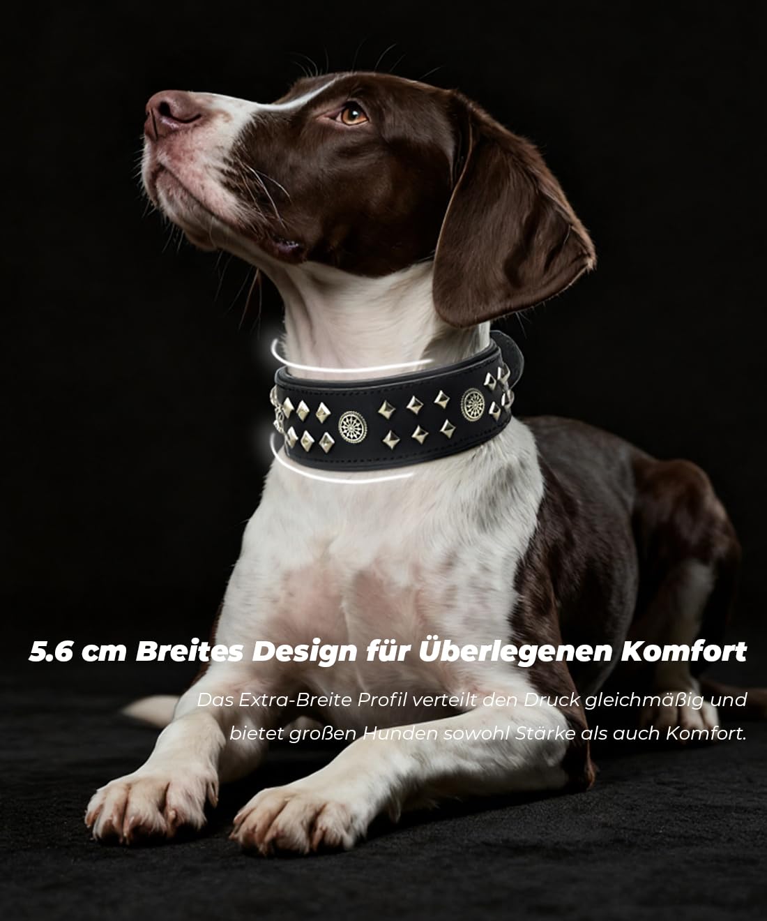 EliteGuard Collar de Perro de Cuero de 5,6 cm de ancho, hecho a mano con remaches y hebilla de acero inoxidable, para uso diario en perros grandes, color negro, 57,5-67,5 cm