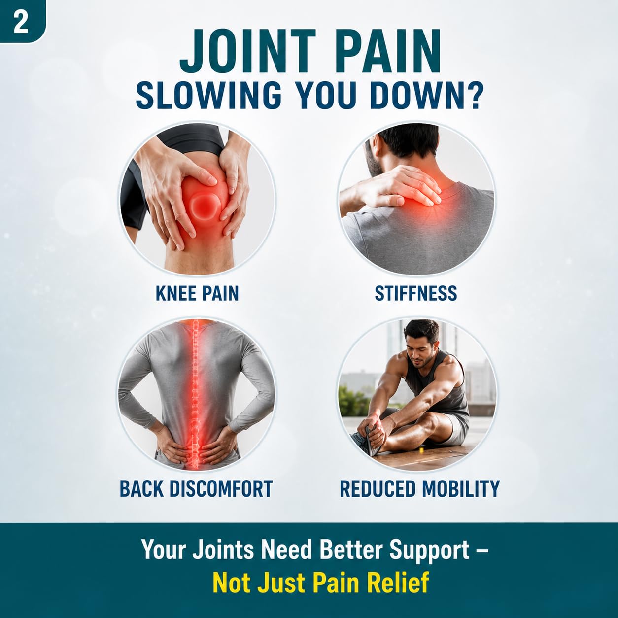 The Joints Co Advanced Herbs Plus Plant-Based Joint & Bone Support Supplement | 100% Vegetarian | No Glucosamine | For Joint Pain, Mobility, Flexibility & Bone Strength | 60 Tablets — Amazon image 2