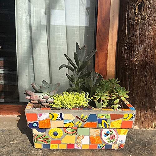 Jardinière en céramique rectangulaire contre les balcons ternes et sans vie