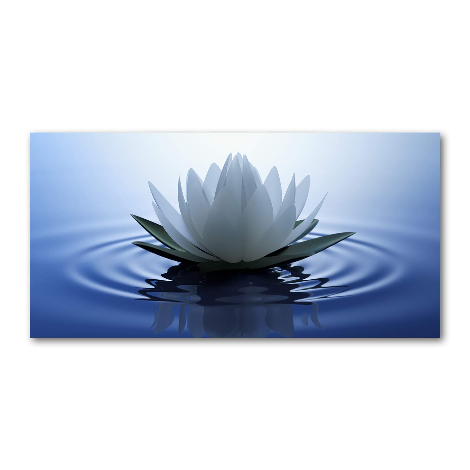 Tulup Tableau Sur Verre Trempé Image 100x50 - Fleurs De Magnolia