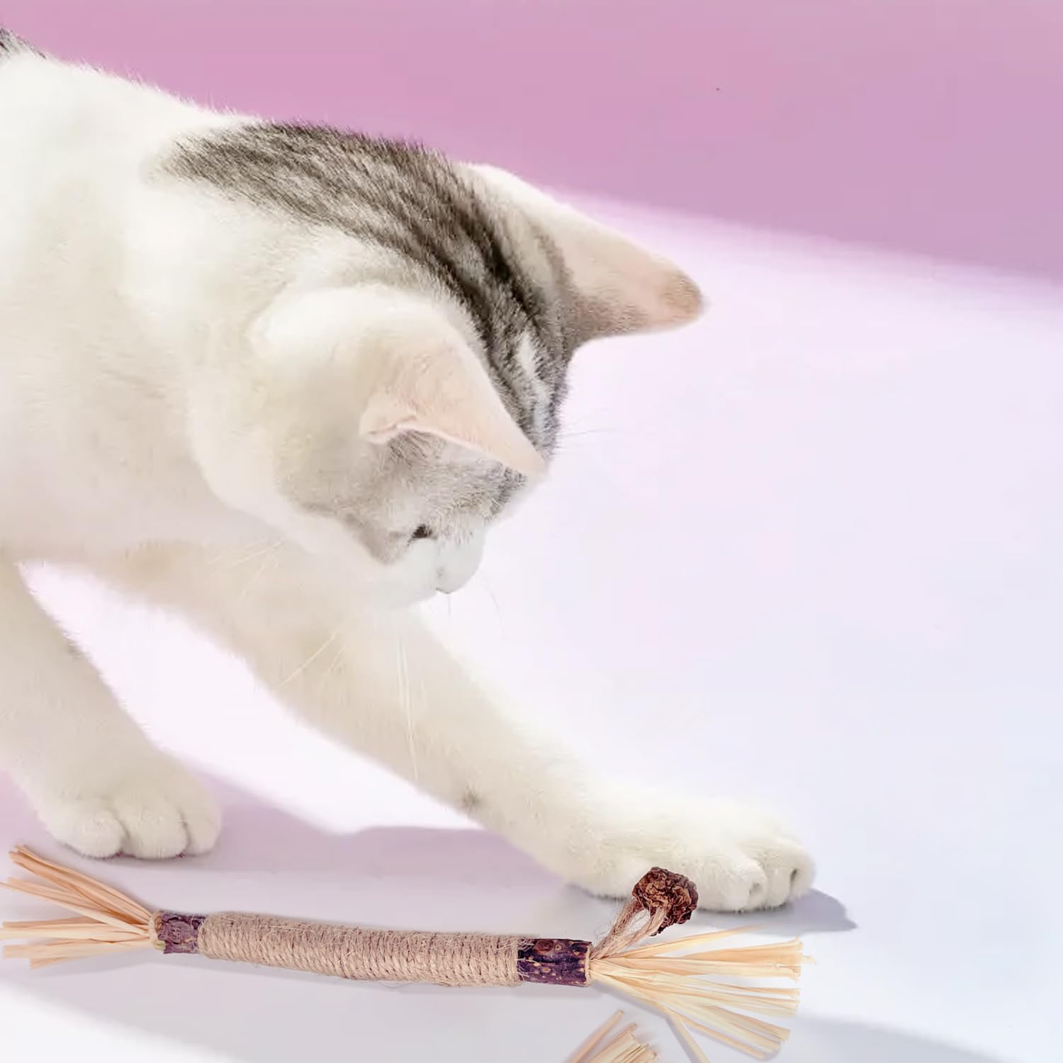 Lot de 6 bâtonnets d'herbe à chat - En bois à mâcher - Pour les soins dentaires et la mauvaise haleine - Naturellement sûrs - Jouet à mâcher pour chat