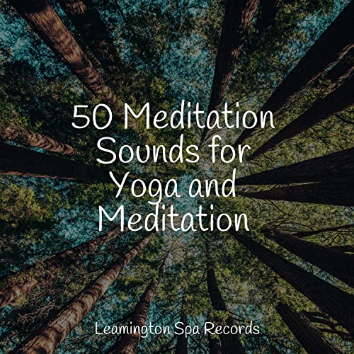 Écouter 50 Meditation Sounds for Yoga and Meditation de Relaxing Nature ...