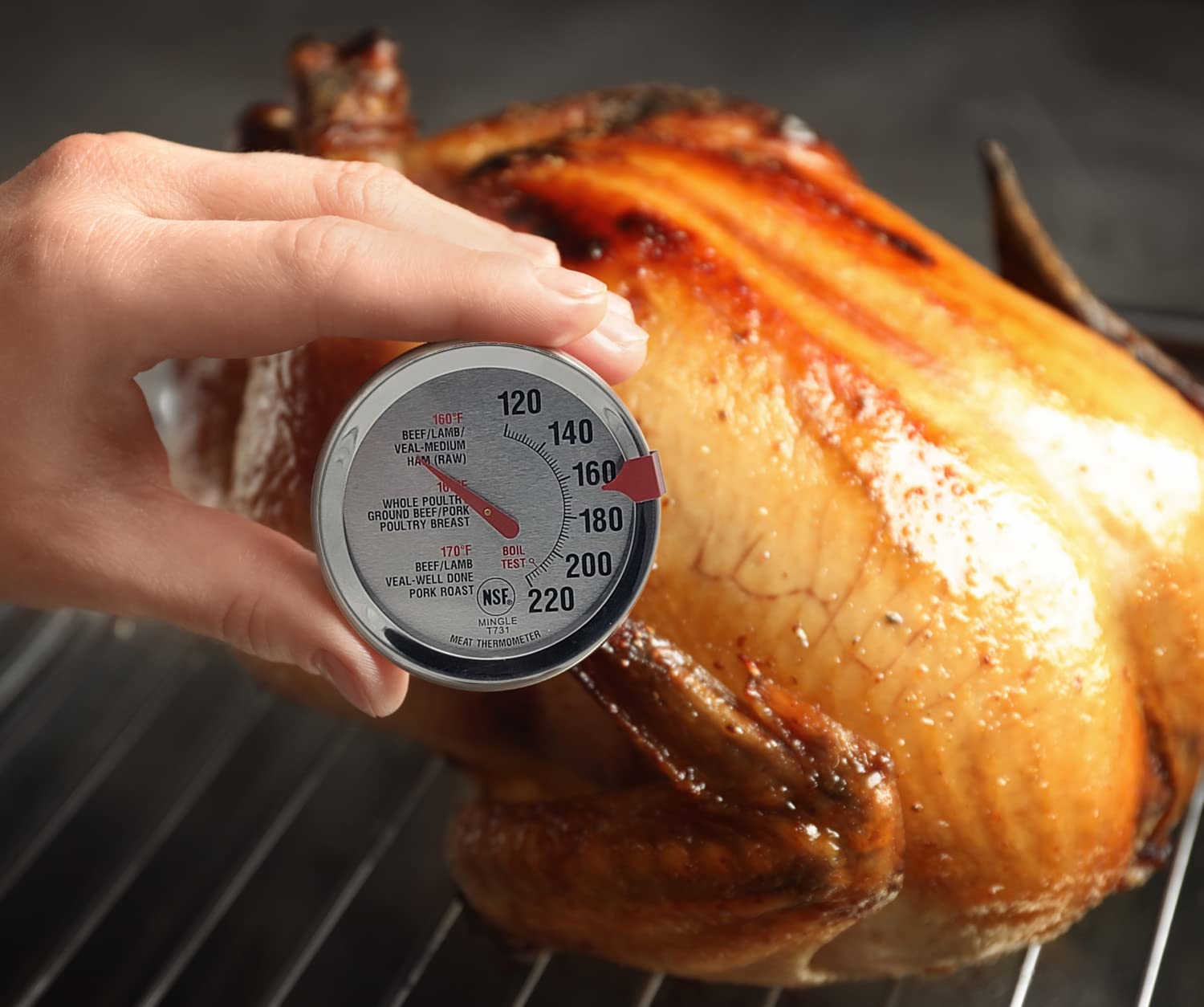 20 Termómetros Desechables Emergentes Para Pollo Asado Y Aves De Corral Para Cocinar