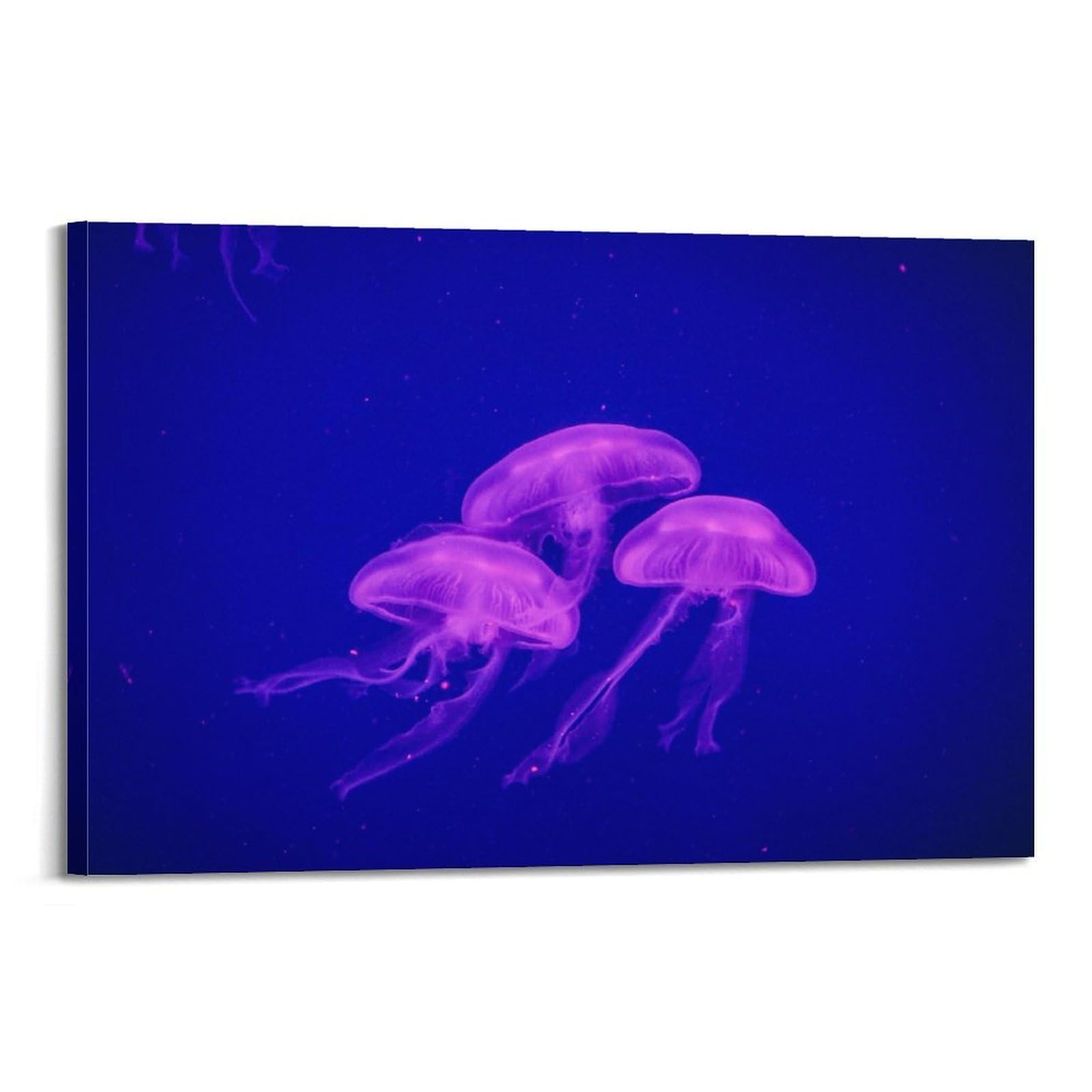 CXHJCA Sea Life Poster Lightly Fluttering Jellyfish Poster Decorative Painting Canvas Wall Posters And Art Picture Print Modern Family Bedroom Decor Posters 16x24inch(40x60cm)