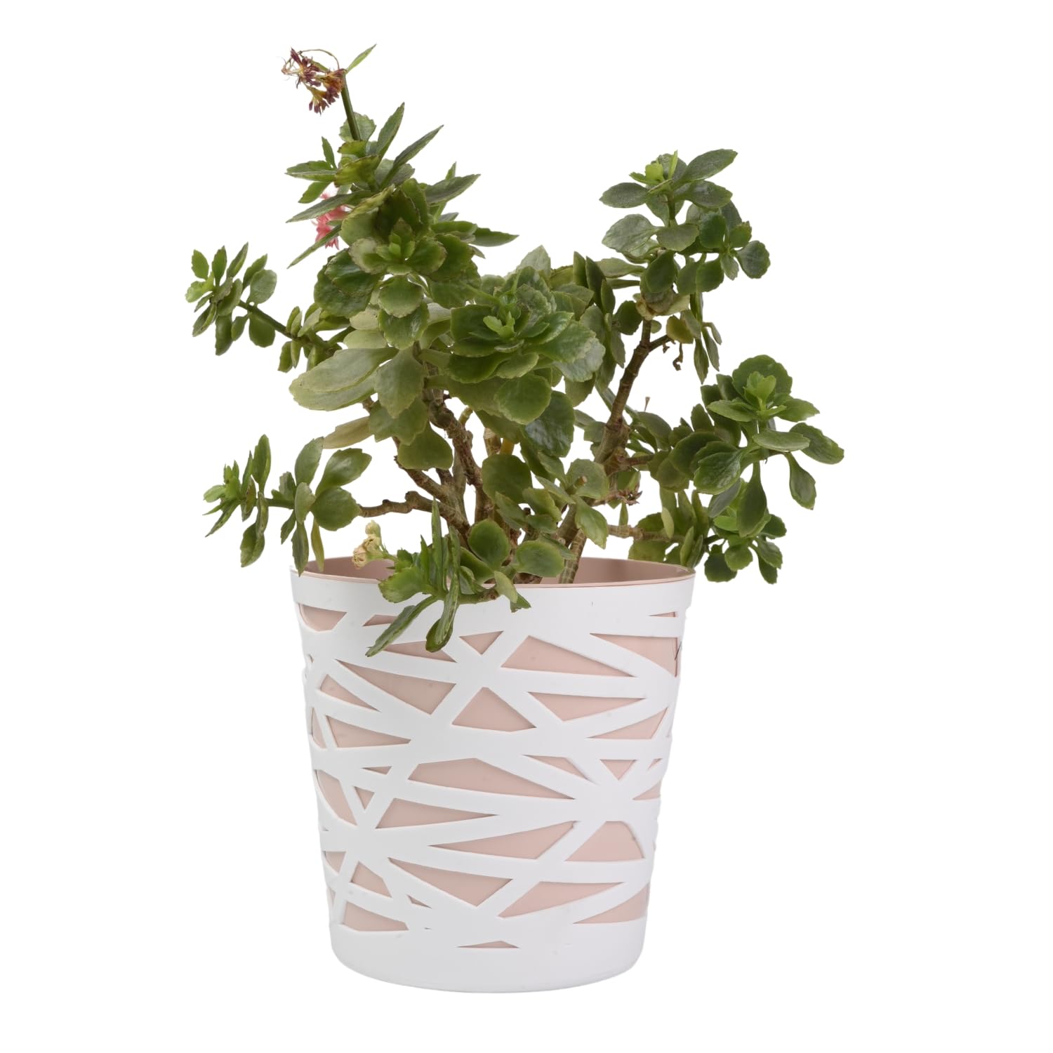 B2C Flowerpot plant pot planter Crystal Modern Decorative Daizy 7 colours 4 sizes (15cm, Peach)