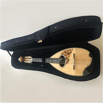 mandolin guitar musical instrument stringed mandolin for beginners adult beginner mandolin