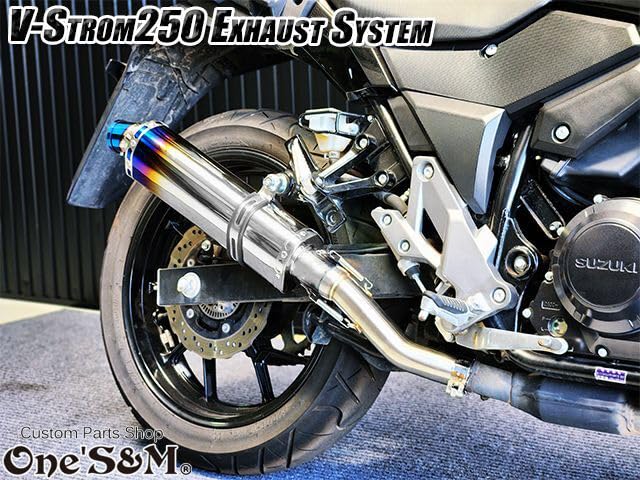 GSX250R Vストローム 250 ワンズ管 美品 GSX250R Vストローム 250 ワンズ管 美品 - メルカリ