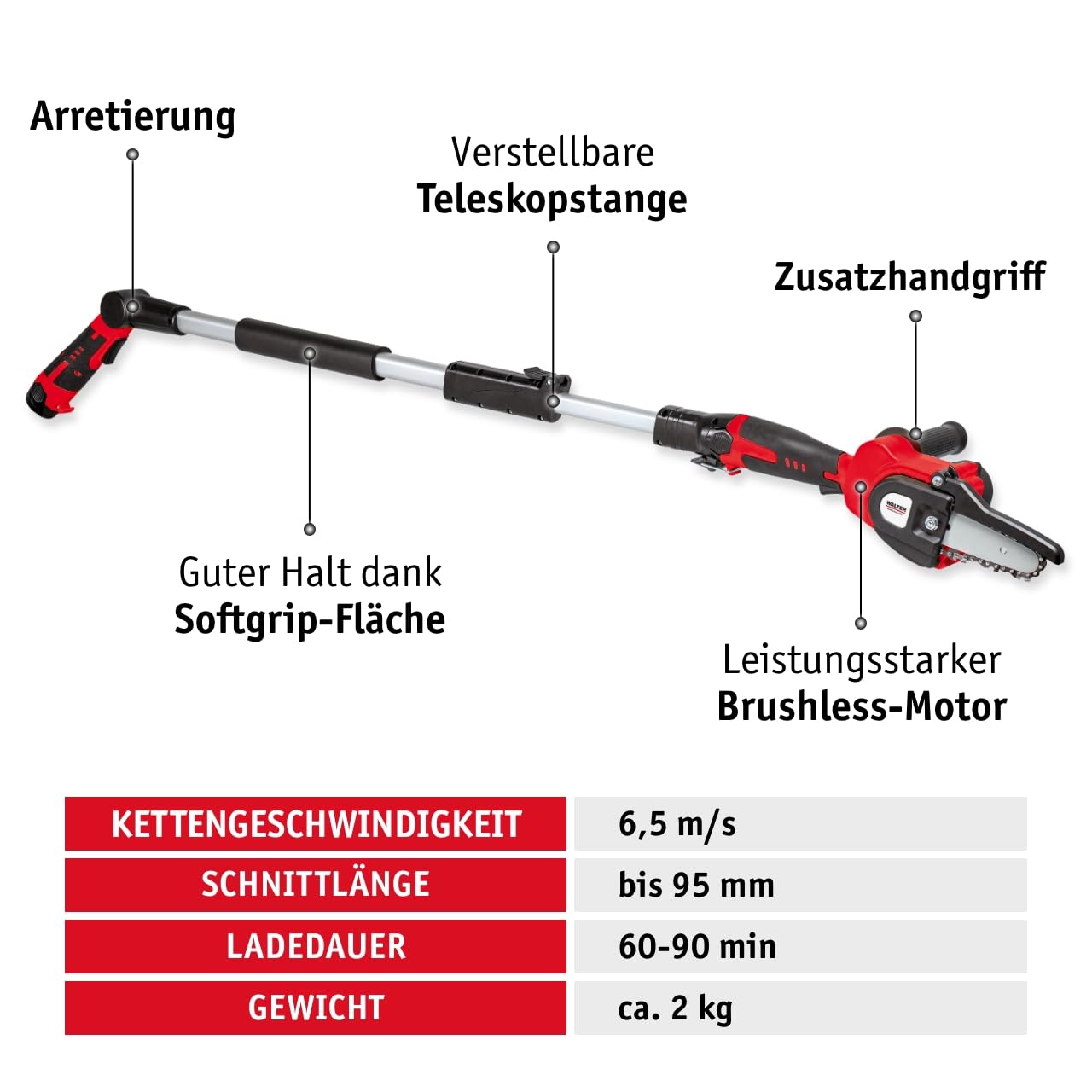 WALTER Kompakter Hochentaster. Verstellbare Teleskopstange. 12V Li-Ion Akku, Ladegerät und Zubehör. Stufenlose Höhenverstellung 155 und 220 cm. Mini Kettensäge, 95mm Schnittlänge, Brushless Motor