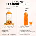 Growfitz Himalayan Sea Buckthorn Pulp Concentrate 500 ML | Cold-Pressed | Makes 80 Glass, Natural Vitamin C, Omega 3 6 7 9, Antioxidants | Immunity, Skin Glow & Gut Health Support | Seabuckthorn Juice gallery image