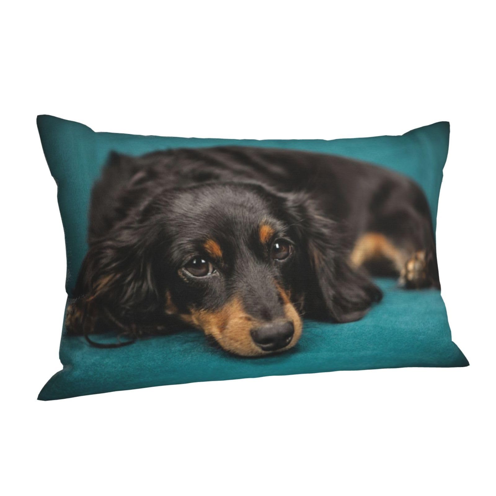 Amazon.co.jp: ソファーの上でくつろぐ ダックスフンド 犬 枕カバー