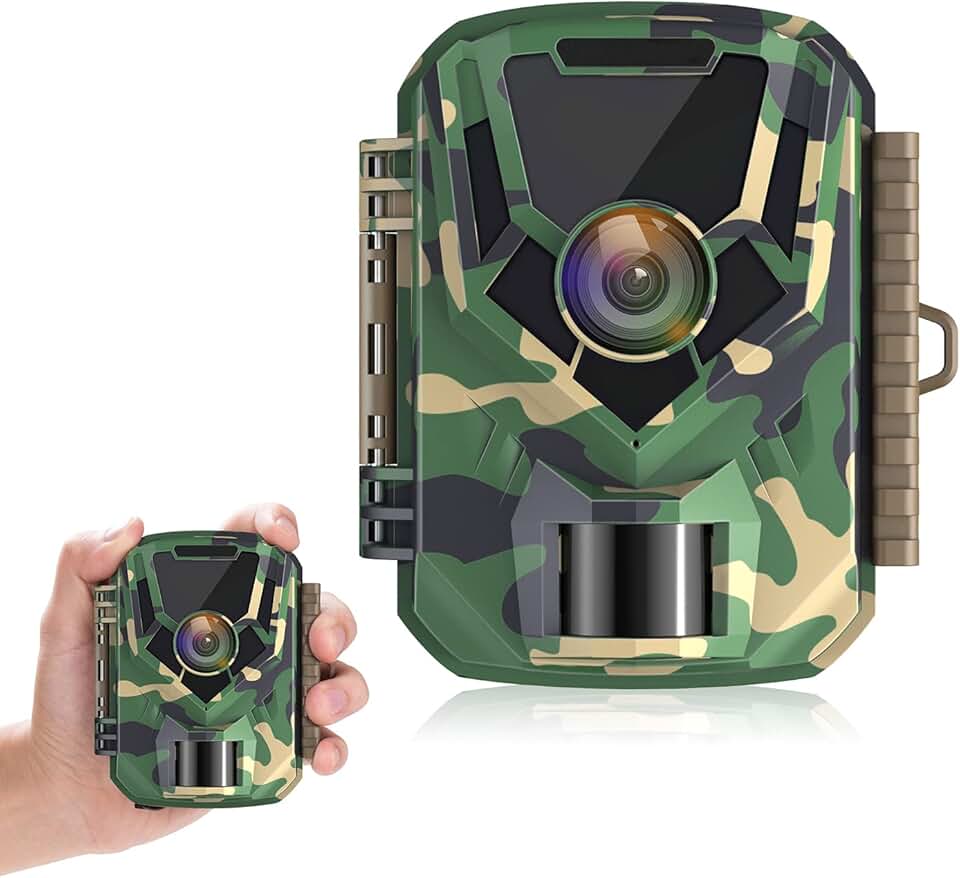 Amazon.co.uk camera trap