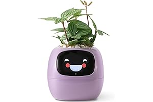 Robot Planter: Your Plant's Caring Companion with Gesture Control