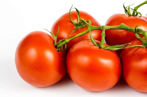 Miniatura 5 de Semillas de tomate "Ace 55" para plantar, más de 150 semillas de reliquia por paquete, semillas de jardín de Isla (semillas de jardín de Isla), sin