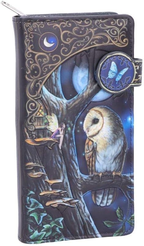Nemesis Now B4864P9 Lisa Parker Fairy and Owl Purse 18.5cm, PU, Black, One Size
