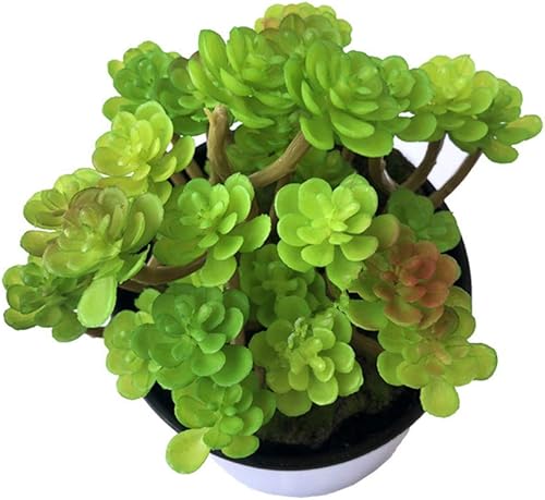 Miniatura 5 de EBUYOM 2 piezas de mini plantas suculentas artificiales sin maceta, arreglos de ramo de suculentas falsas, plantas de imitación para decoración del