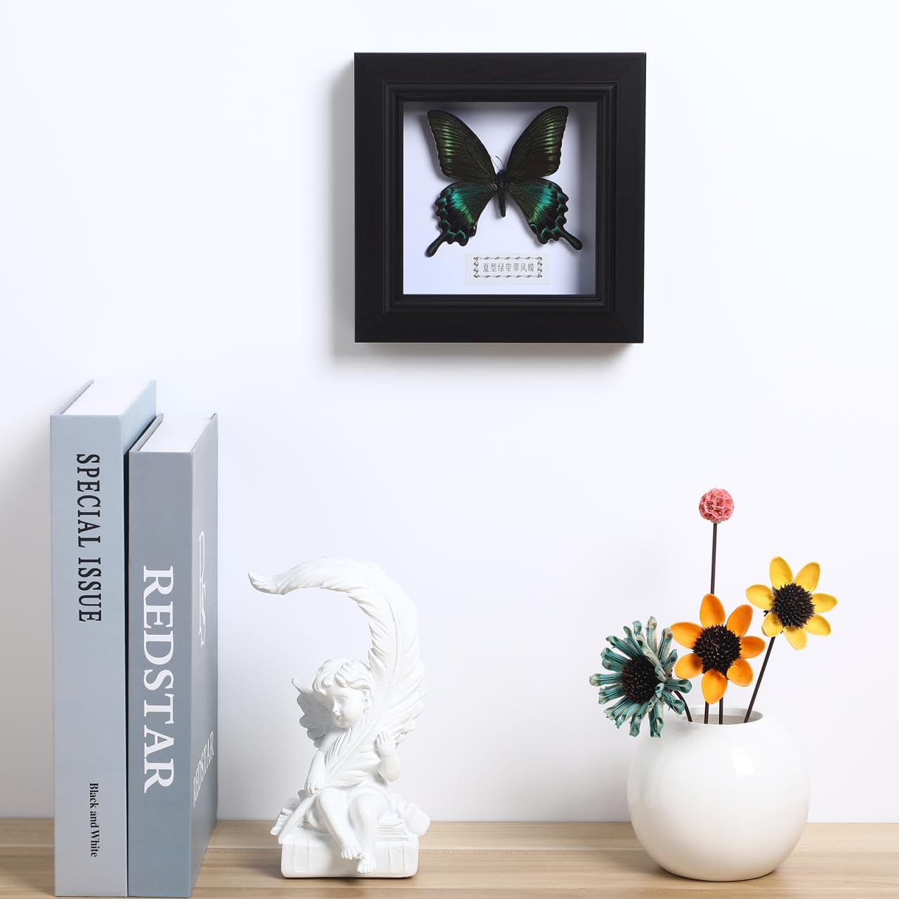 Cadre pour exemplaires de Morpho Bleu Exquis Encadré et monté en Noir pour présenter des curiosités comme décoration de Table à Suspendre