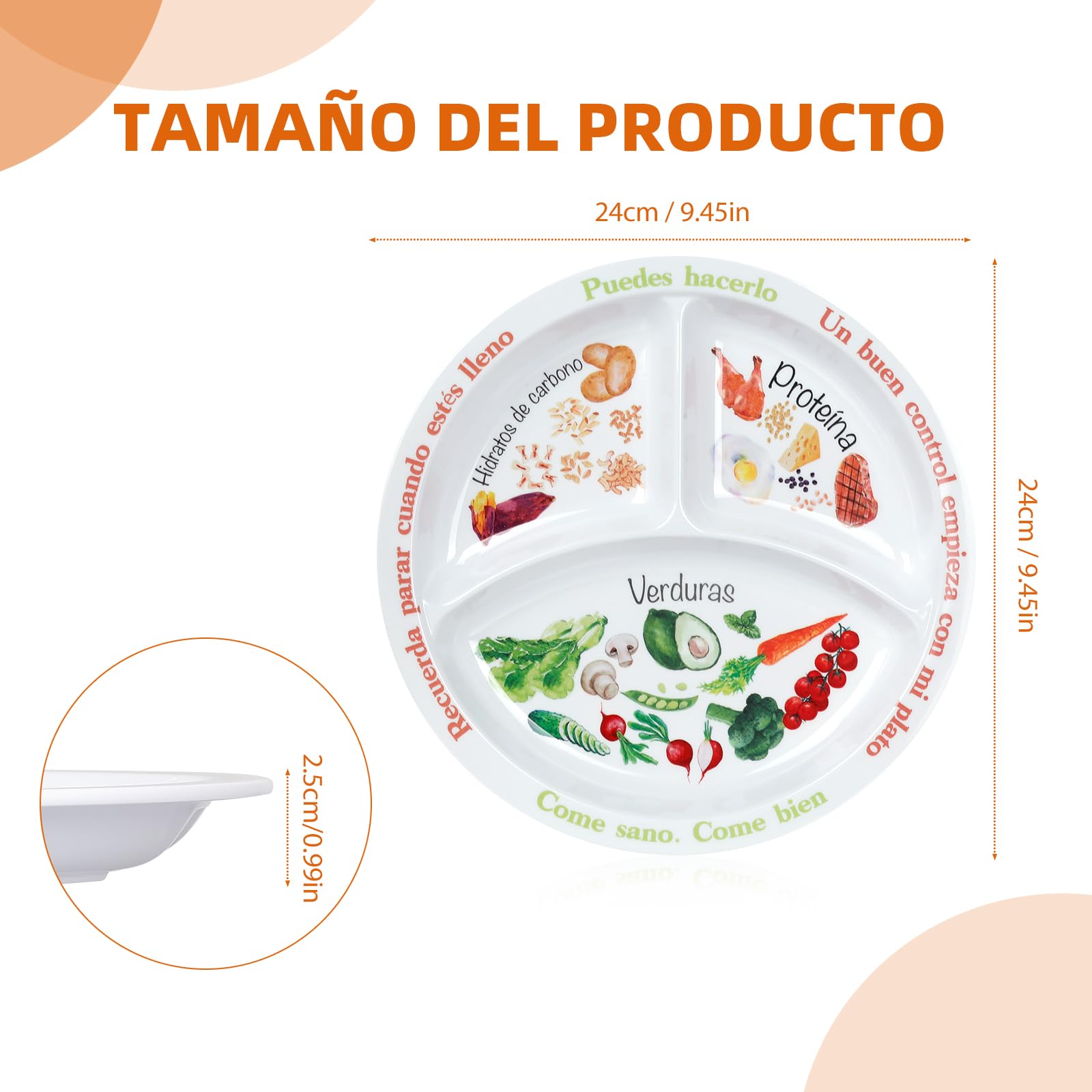 Plato de control de porciones para nutrición equilibrada – Platos de alimentación saludable para adultos y adolescentes – Separadores de melamina, pérdida de peso, diabetes (2)