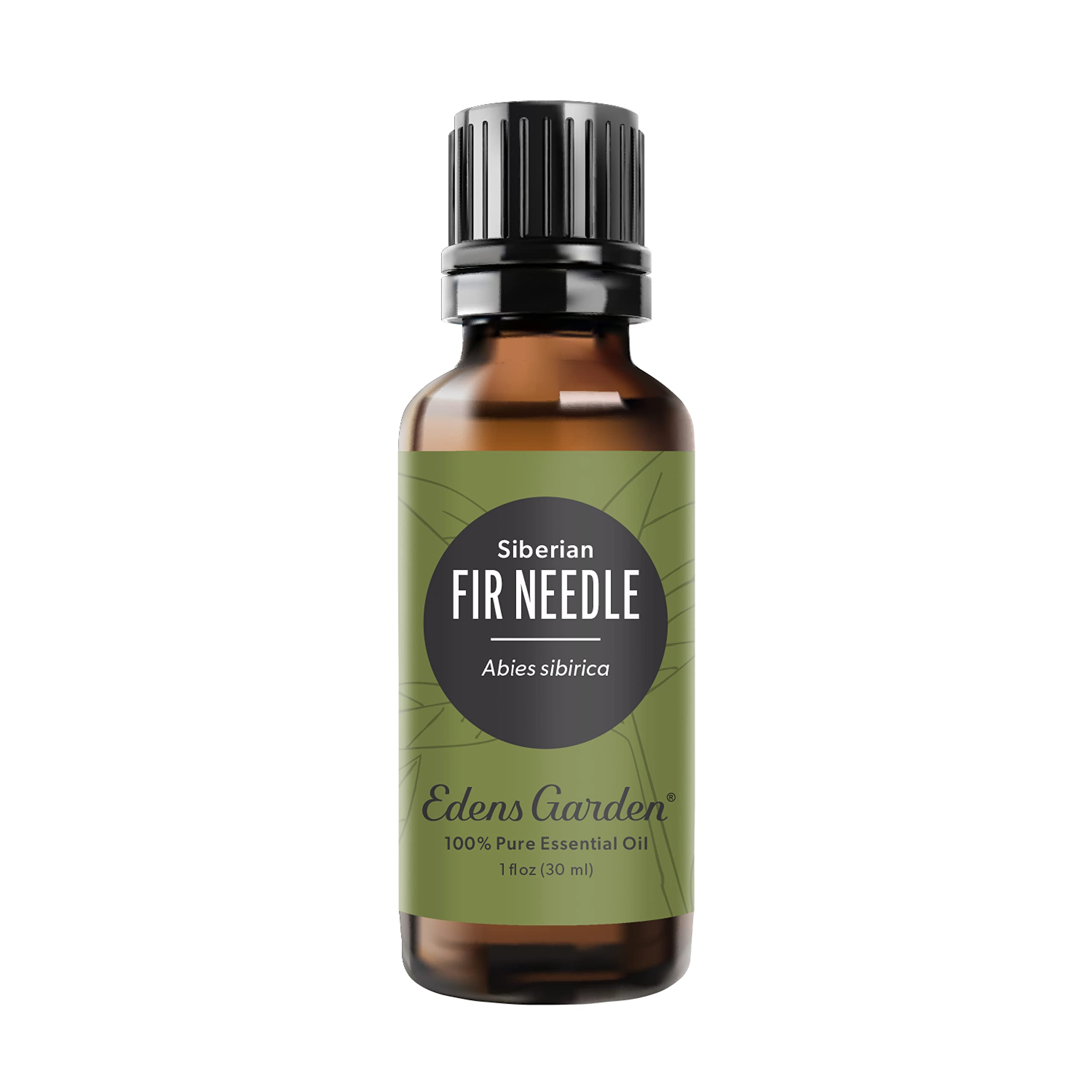 Edens Garden Fir Needle Siberian Essential Oil