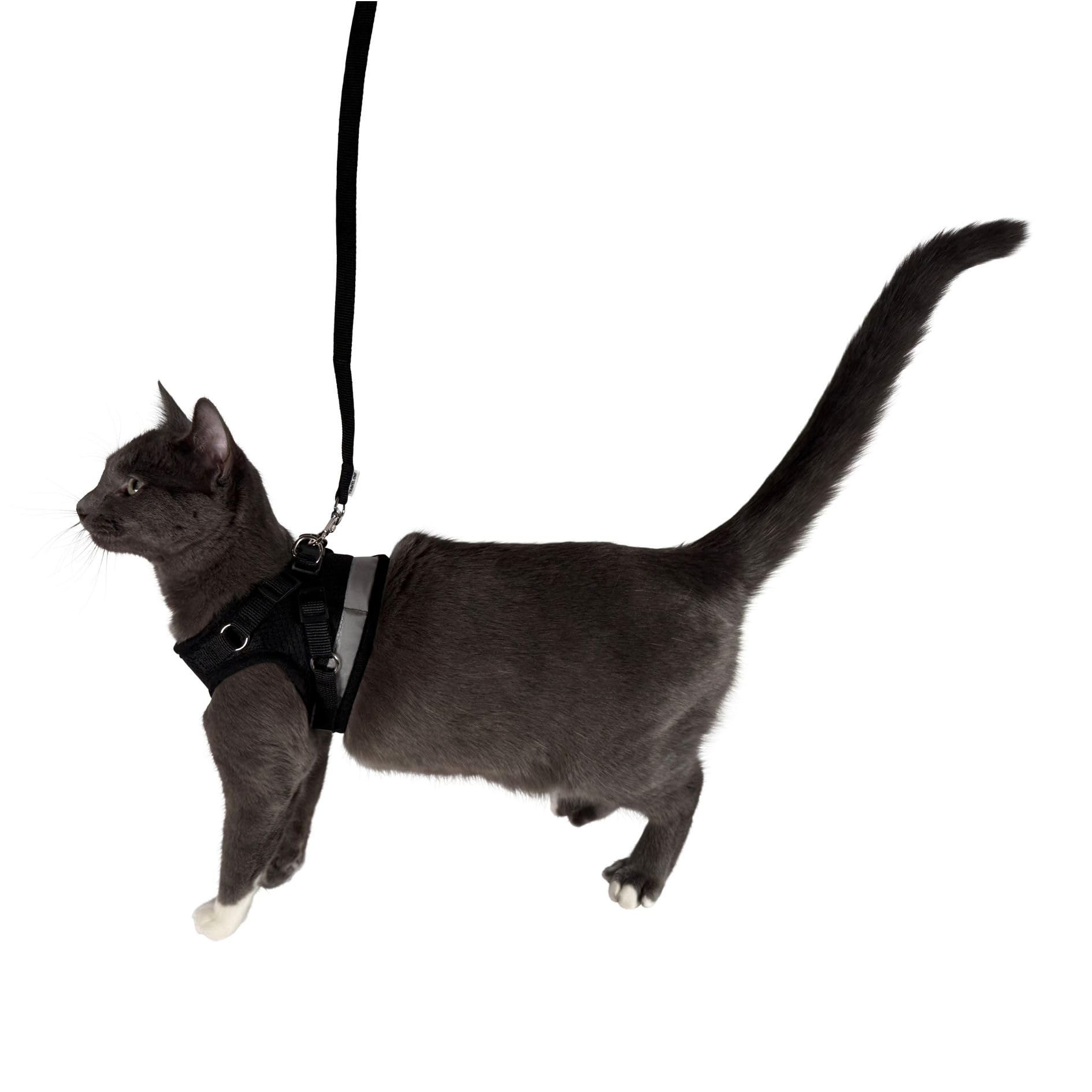 Travel Cat: The True Adventurer - Juego de arnés y correa reflectante para gatos y gatitos para caminar, ligero, transpirable, ajuste cómodo, correa fuerte con clip resistente a presión