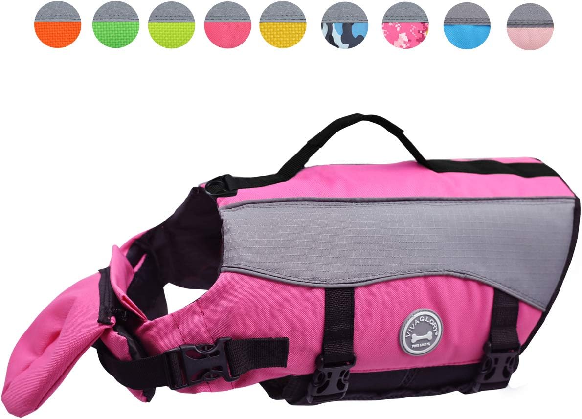 gilet di sicurezza per cani