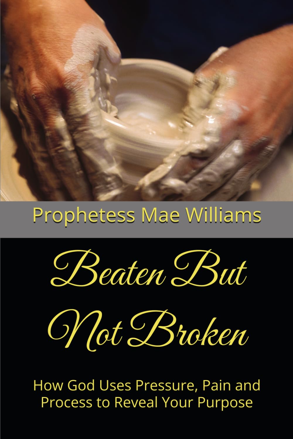 Beaten But Not Broken: How God Uses Pressure, Pain and Process to Reveal Your Purpose