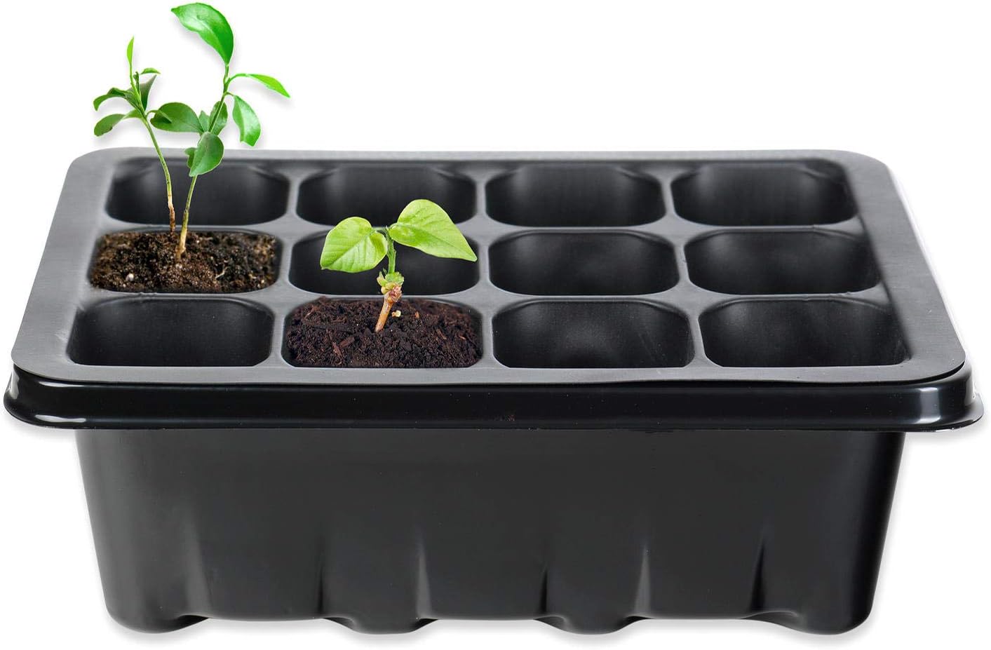 Schramm® propagation set greenhouse propagation tray pots propagator 20