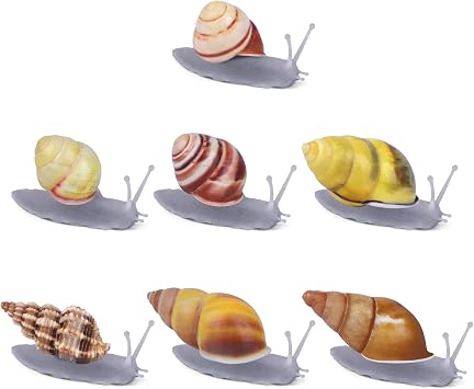 Natural Snail Shell Refrigerator Magnets - Decorative Grey Glass Magnets 7 PCS