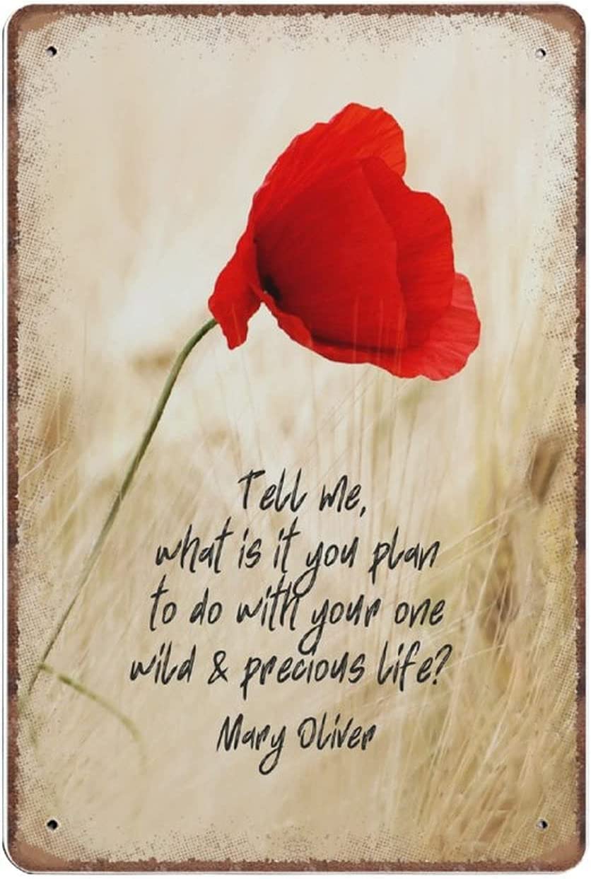 Mary Oliver Quote Tell Me What Is It You Plan To Do With Your One Wild & Precious Life Self Love Art Print Novelty Retro Metal Tin Sign Poster Plaque Bar Pub Club Cafe Home Decor 8x12 Inch