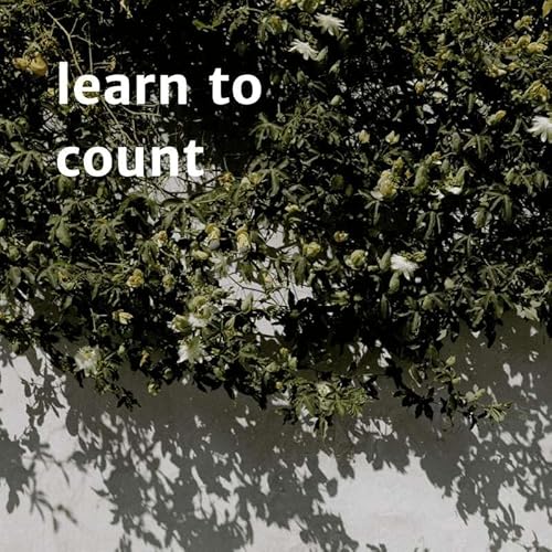 S1E2 - Learn to count