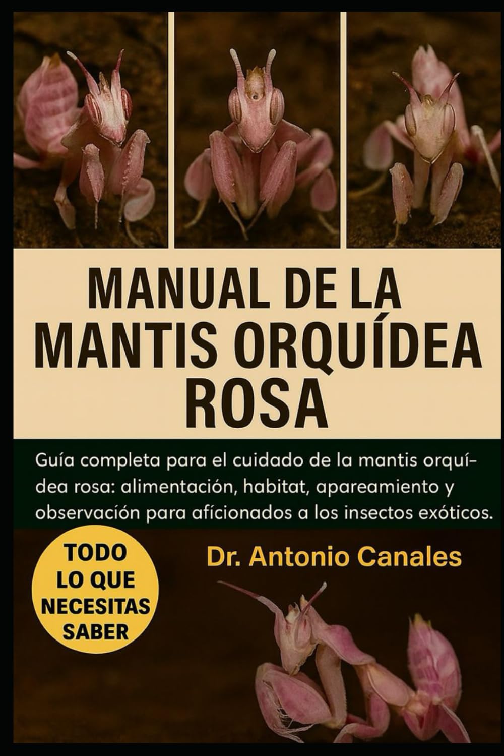 MANUAL DE LA MANTIS ORQUÍDEA ROSA: Guía completa para el cuidado de la mantis orquídea rosa: alimentación, hábitat, apareamiento y observación para aficionados a los insectos exóticos