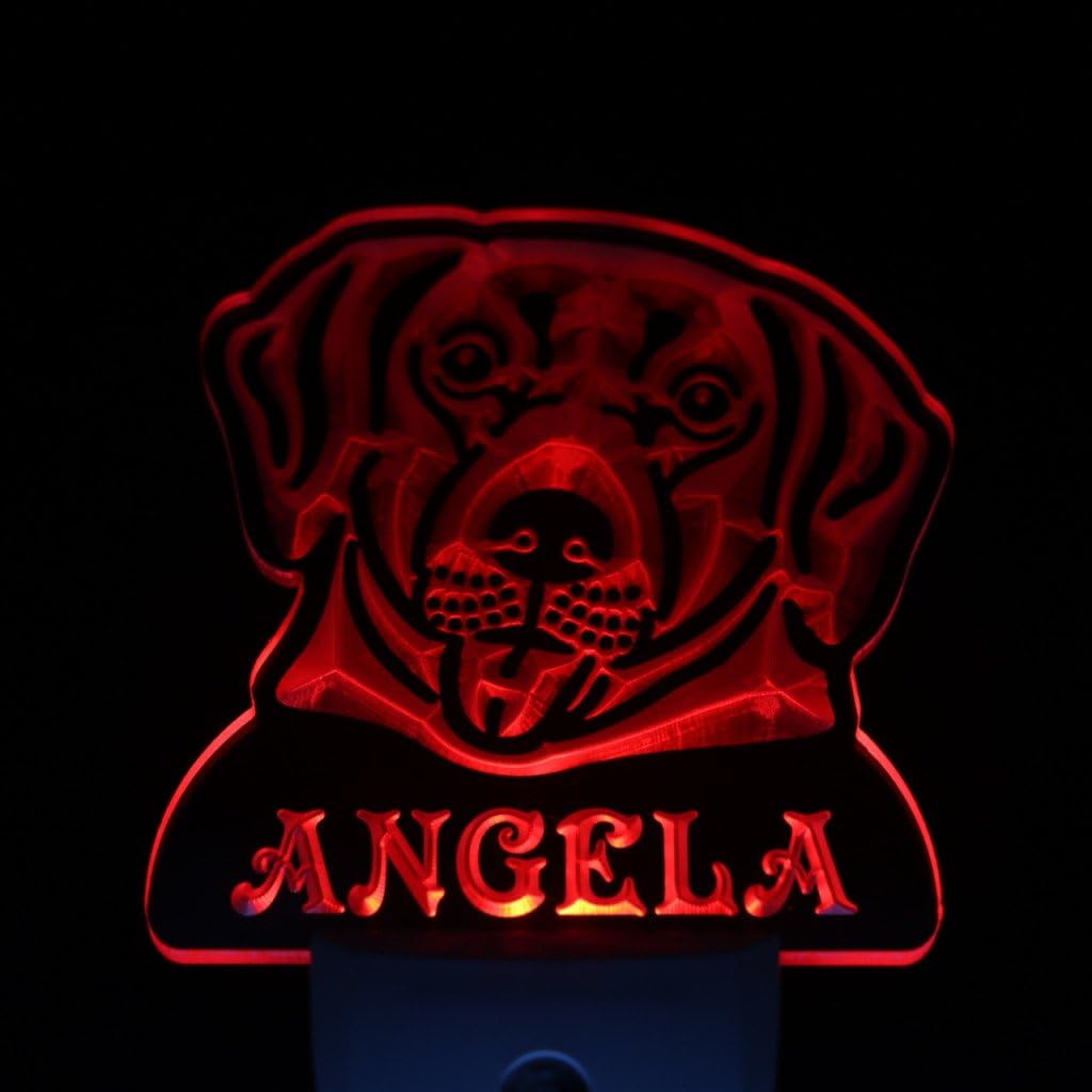 ADVPRO ws1073-tm Labrador Retriever Personalized Night Light Name Day/Night Sensor LED Sign